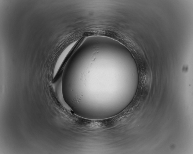 X0000098190609200805011125