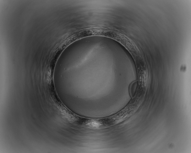 X0000098190610200805011125