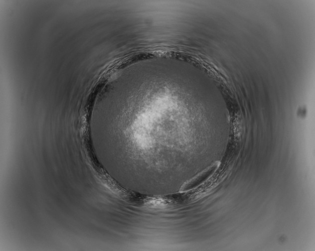 X0000098190611200805011125