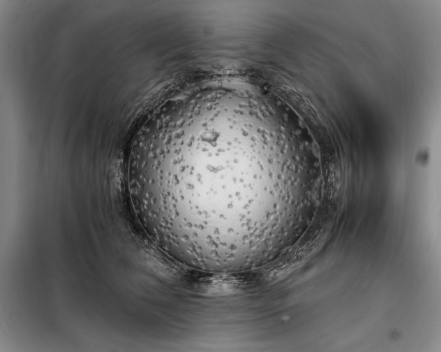 X0000098190612200805011125