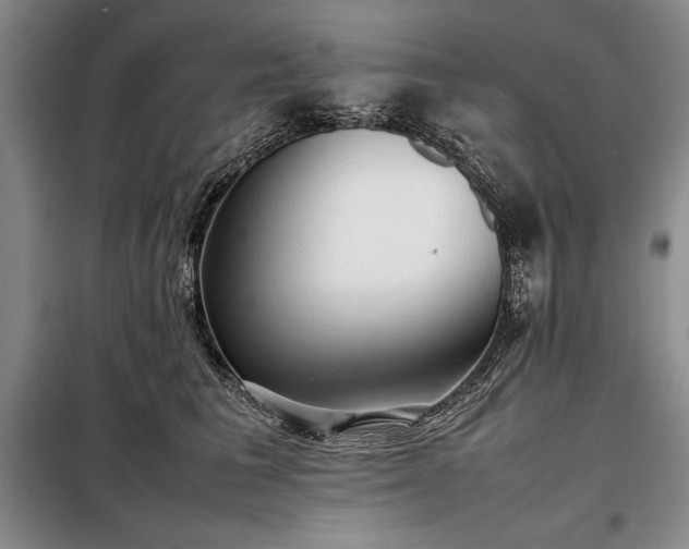 X0000098190613200805011125