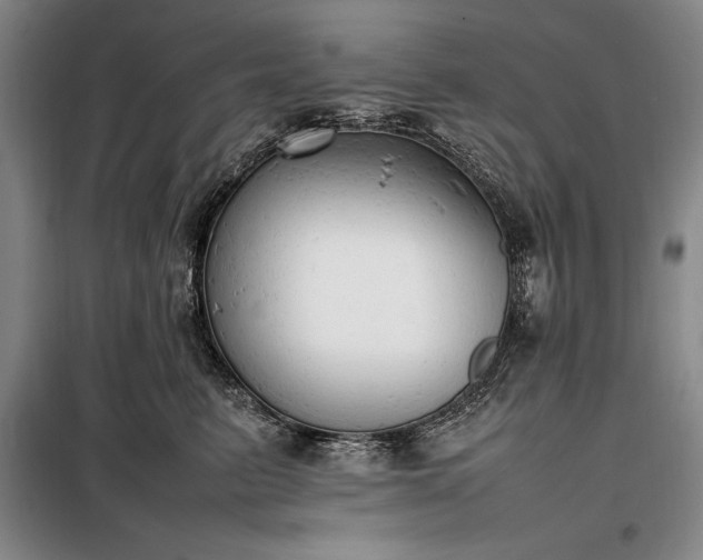 X0000098190615200805011125