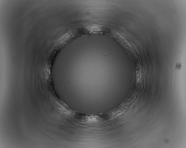 X0000098190618200805011125