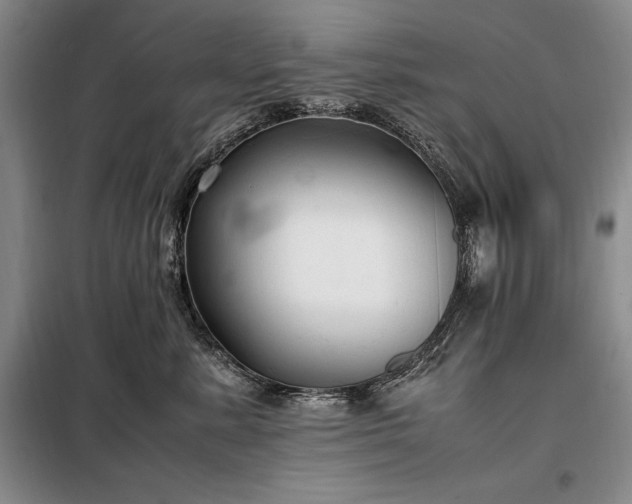 X0000098190619200805011125