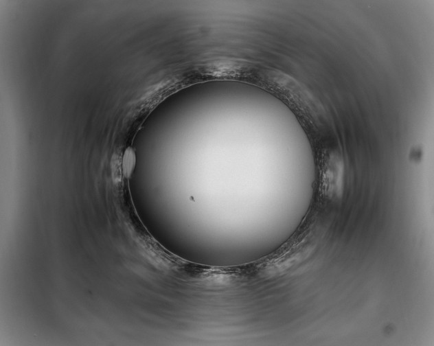 X0000098190620200805011125