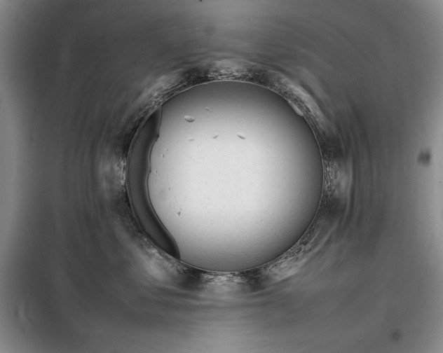 X0000098190621200805011125