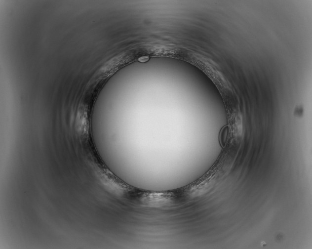 X0000098190622200805011124