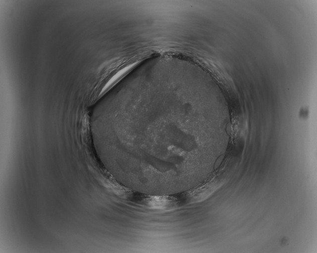 X0000098190623200805011124