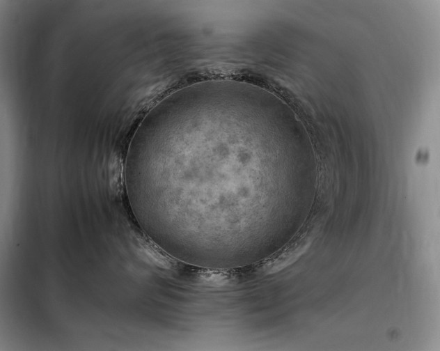 X0000098190624200805011124