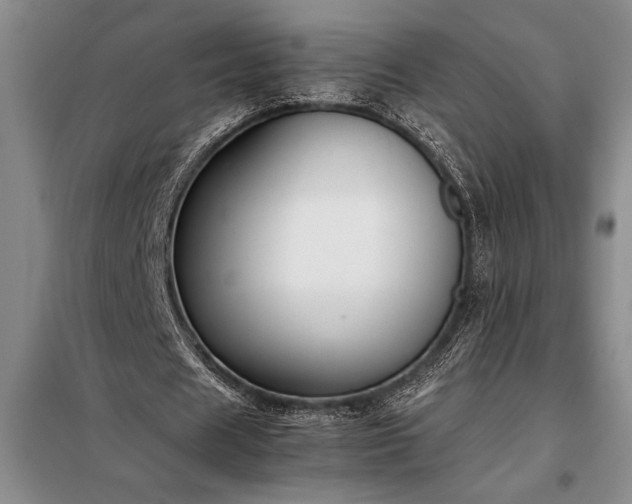 X0000098190625200805011124