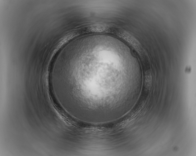 X0000098190626200805011124