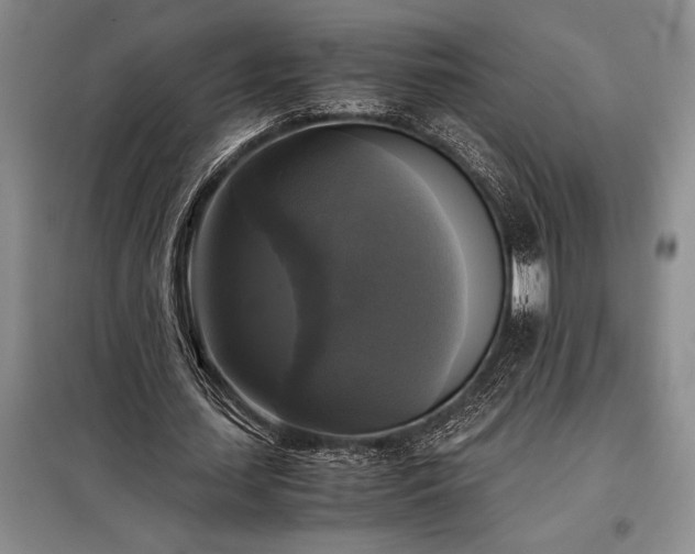 X0000098190627200805011124