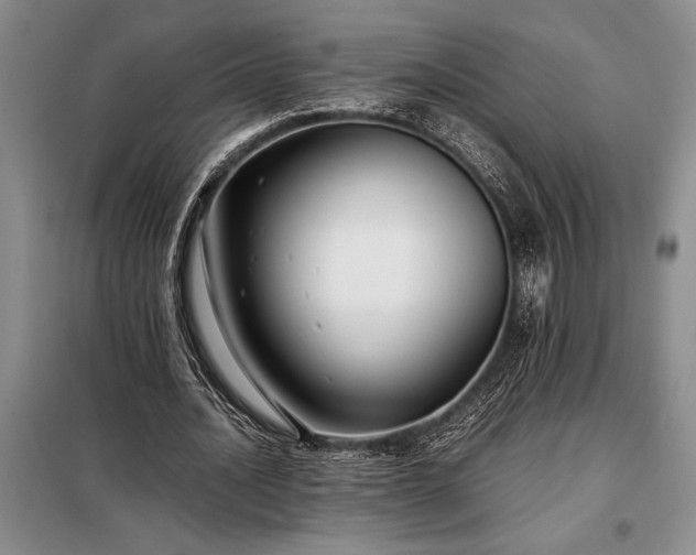 X0000098190628200805011124