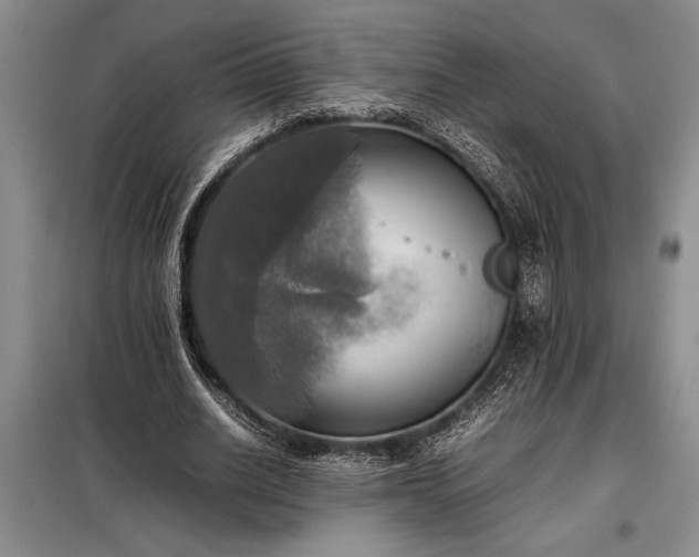 X0000098190630200805011124