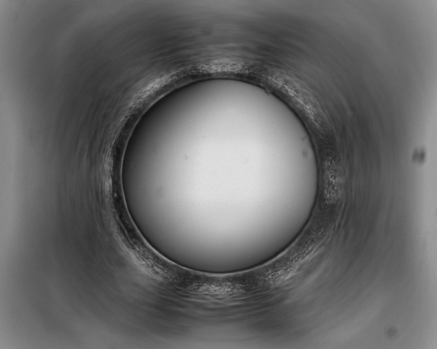 X0000098190631200805011124