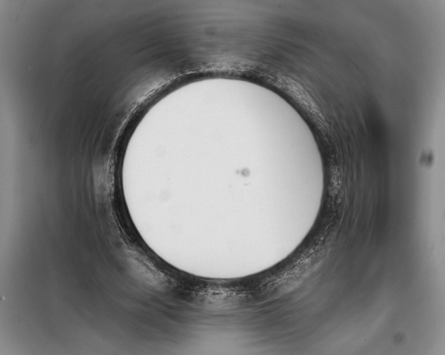 X0000098190632200805011124