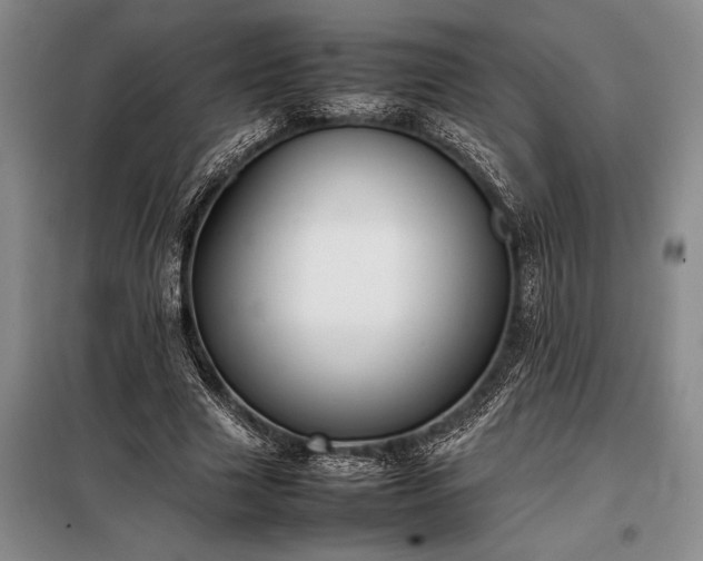 X0000098190633200805011124