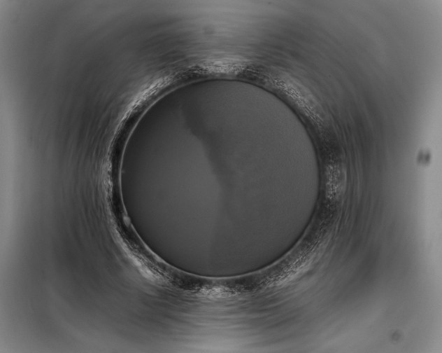 X0000098190634200805011124