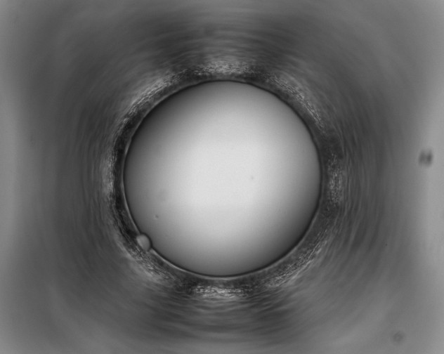 X0000098190635200805011124