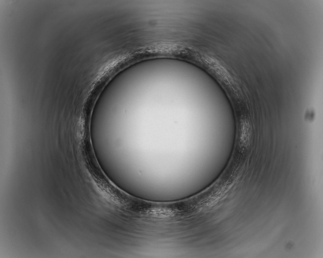 X0000098190636200805011124