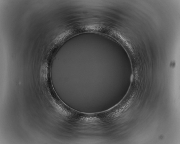 X0000098190637200805011124