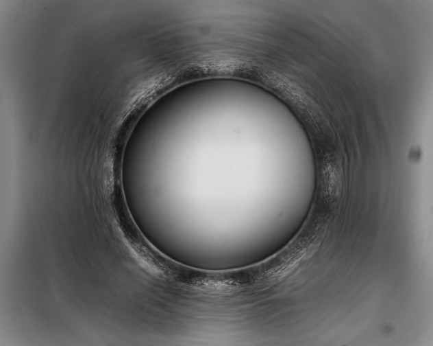 X0000098190638200805011124