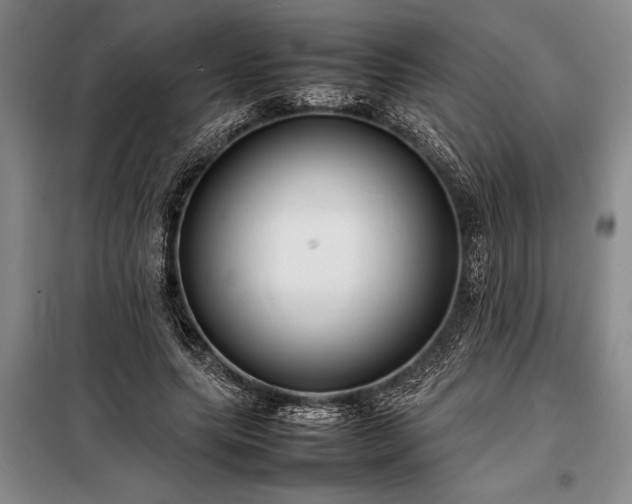 X0000098190639200805011124