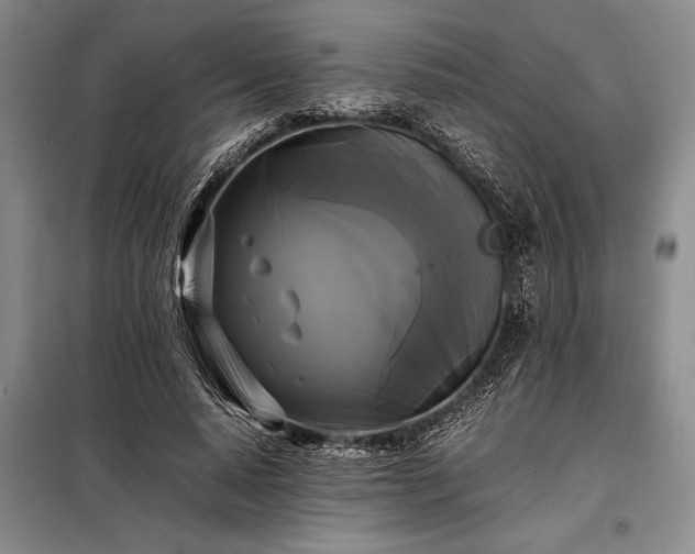 X0000098190640200805011124