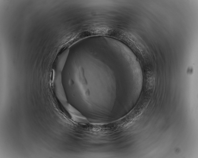 X0000098190641200805011124