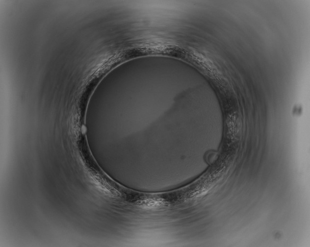 X0000098190642200805011124