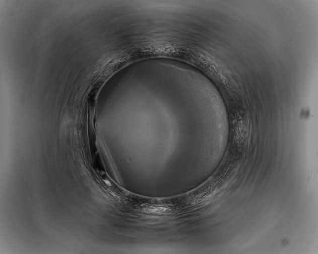 X0000098190643200805011124