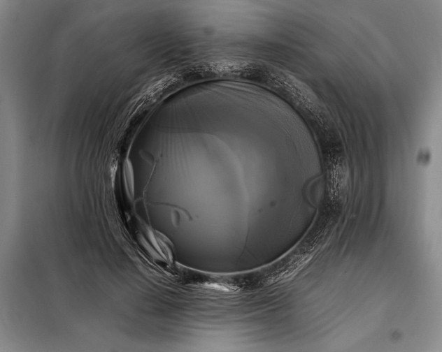 X0000098190644200805011124