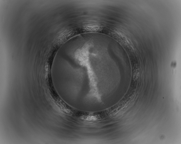 X0000098190647200805011124