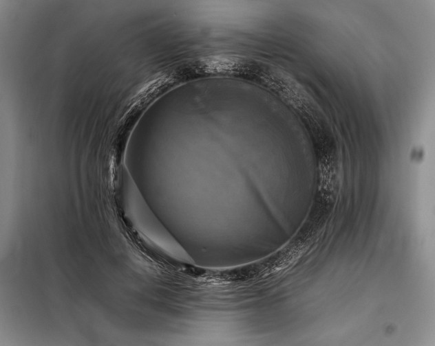 X0000098190648200805011124