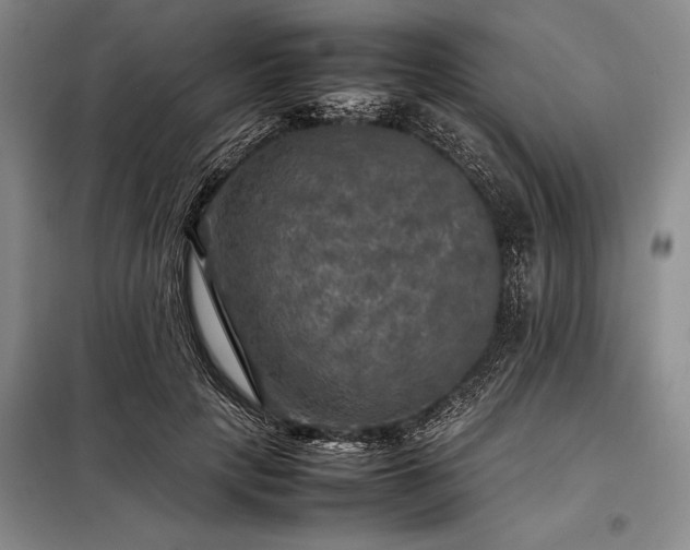 X0000098190649200805011124