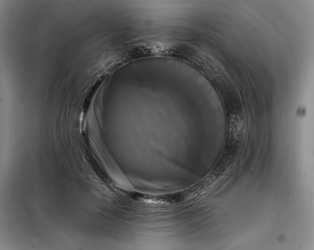 X0000098190650200805011124