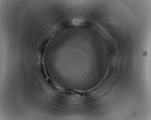 X0000098190651200805011124