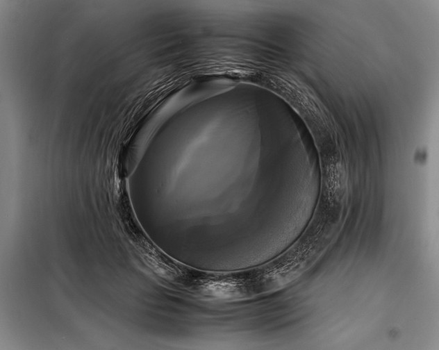 X0000098190653200805011124