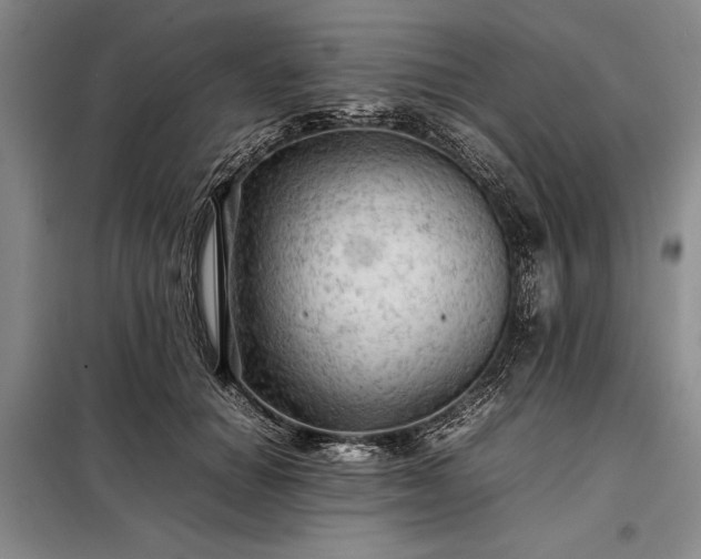 X0000098190654200805011124