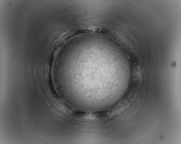 X0000098190656200805011124