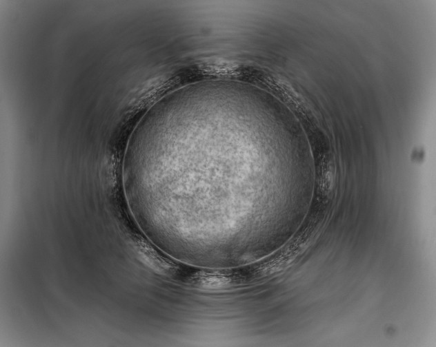 X0000098190658200805011124