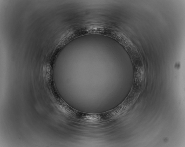 X0000098190659200805011124