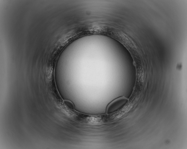X0000098190660200805011124