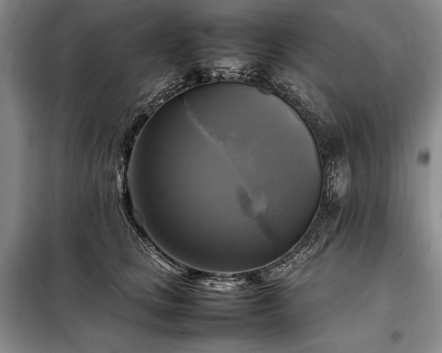 X0000098190661200805011124