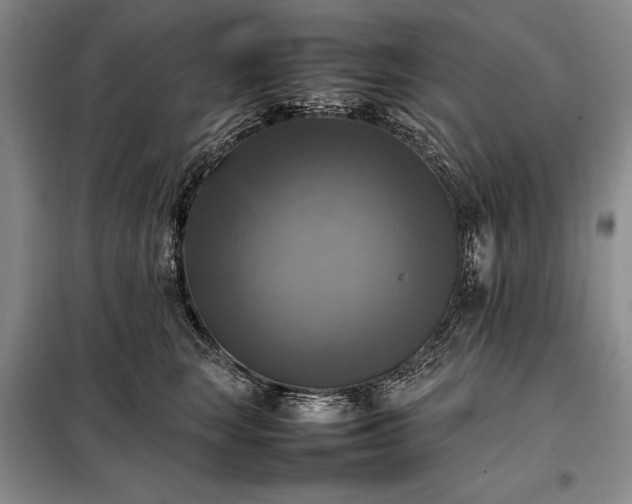 X0000098190663200805011124