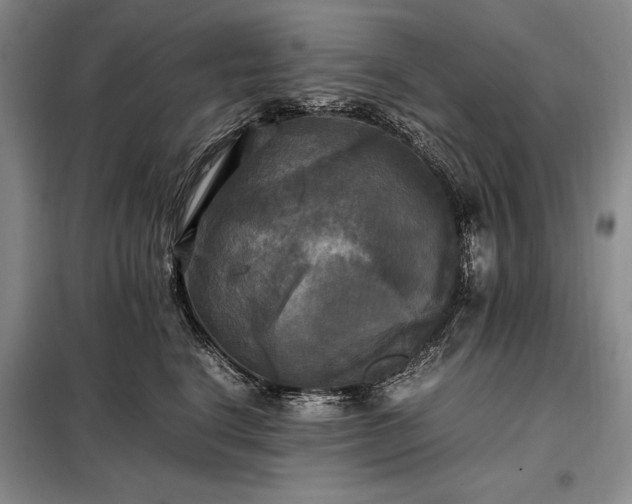 X0000098190664200805011124
