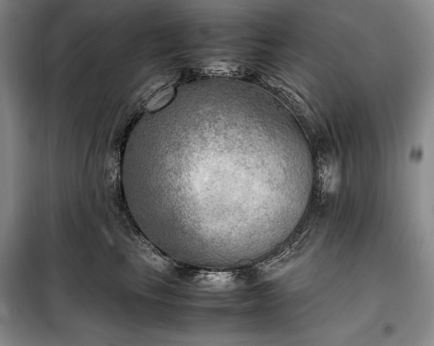 X0000098190665200805011124