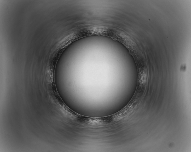 X0000098190666200805011124