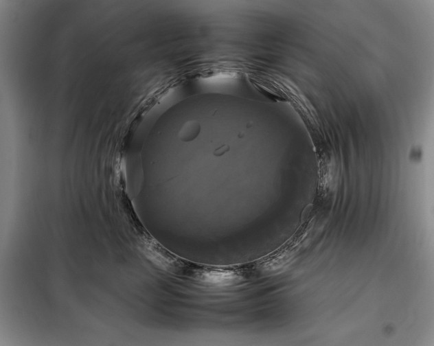 X0000098190669200805011124