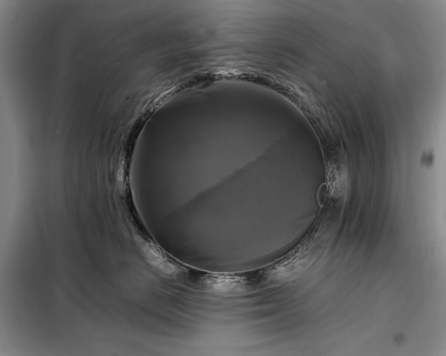 X0000098190670200805011124